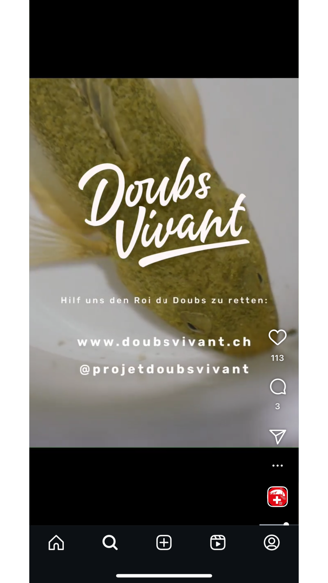 Close-up of a small fish with greenish-brown coloring, accompanied by overlay text supporting a campaign to save the 'Roi du Doubs' fish in Switzerland.