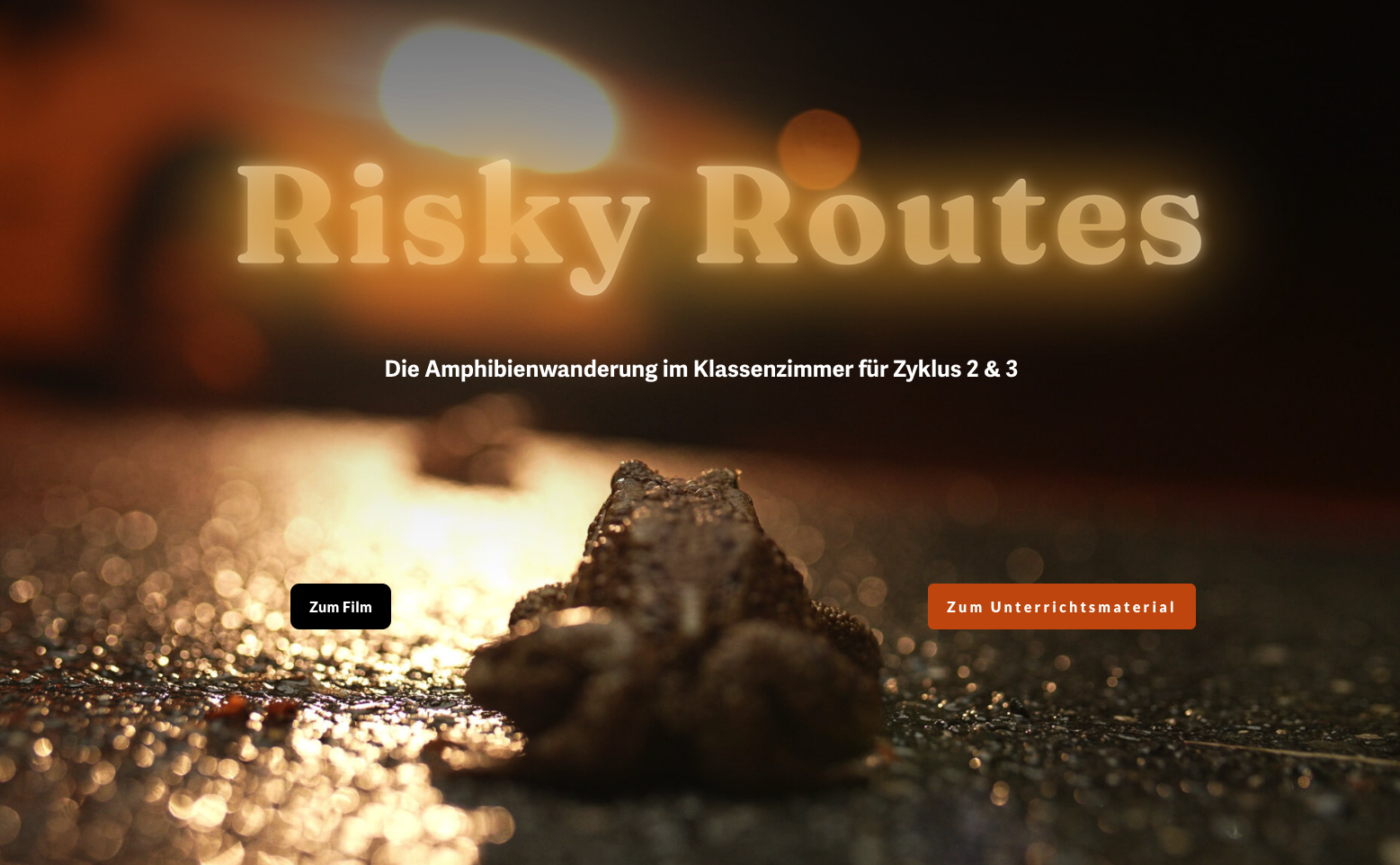 Risky Routes film and educational materials. common toad, amphibian migration, habitat fragmentation, switzerland, nature, primary school, education, lernplan21,  Jonas Steiner environmental scientist, filmmaker, underwater photographer