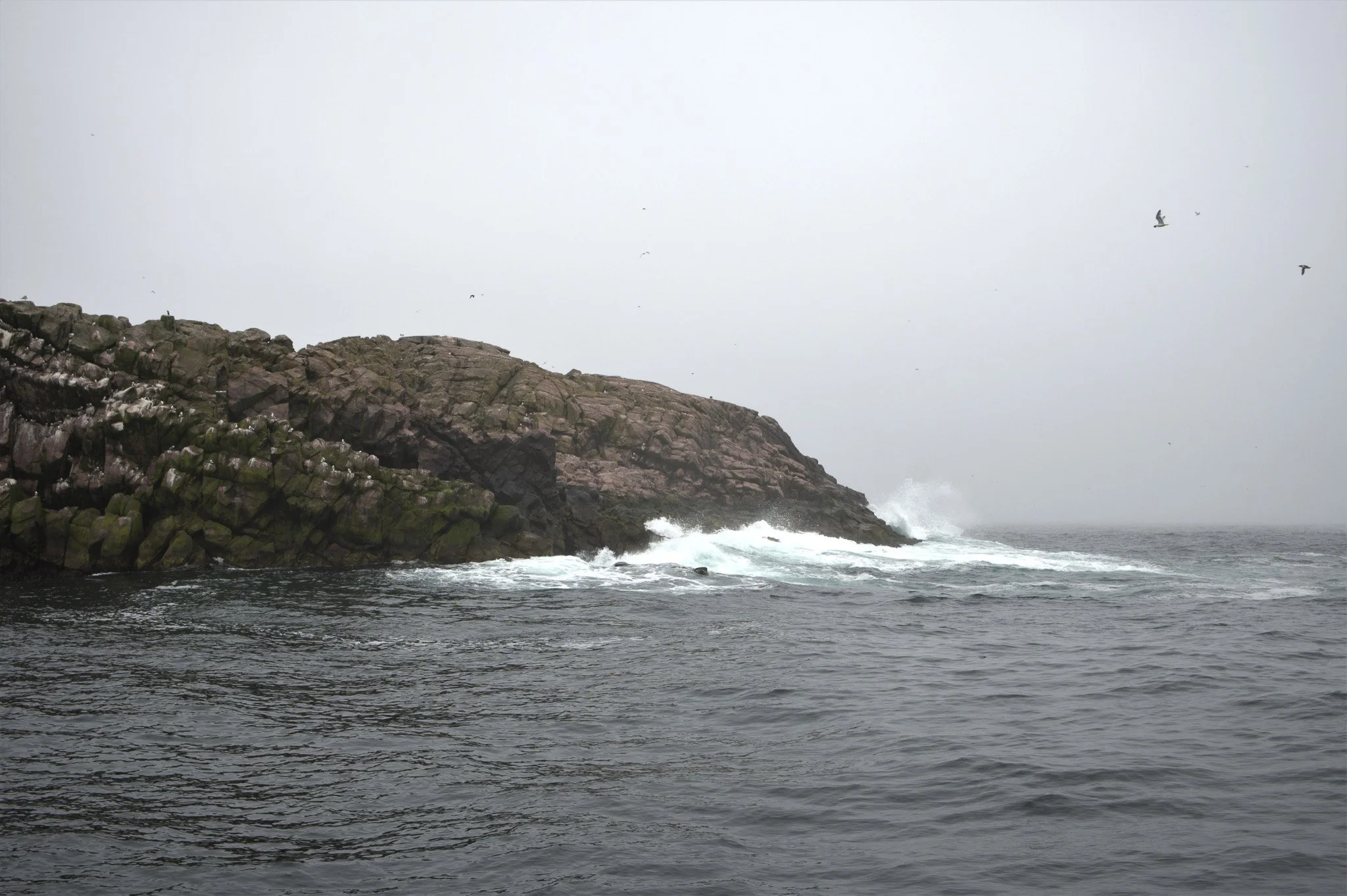 Wave_Crash_On_Forbidden_Shore-Enhanced-SR.jpg