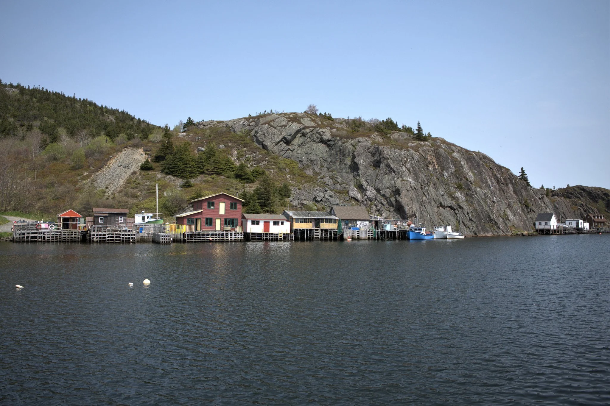 Quidi_Vidi_Bright_Landscape-Enhanced-SR.jpg