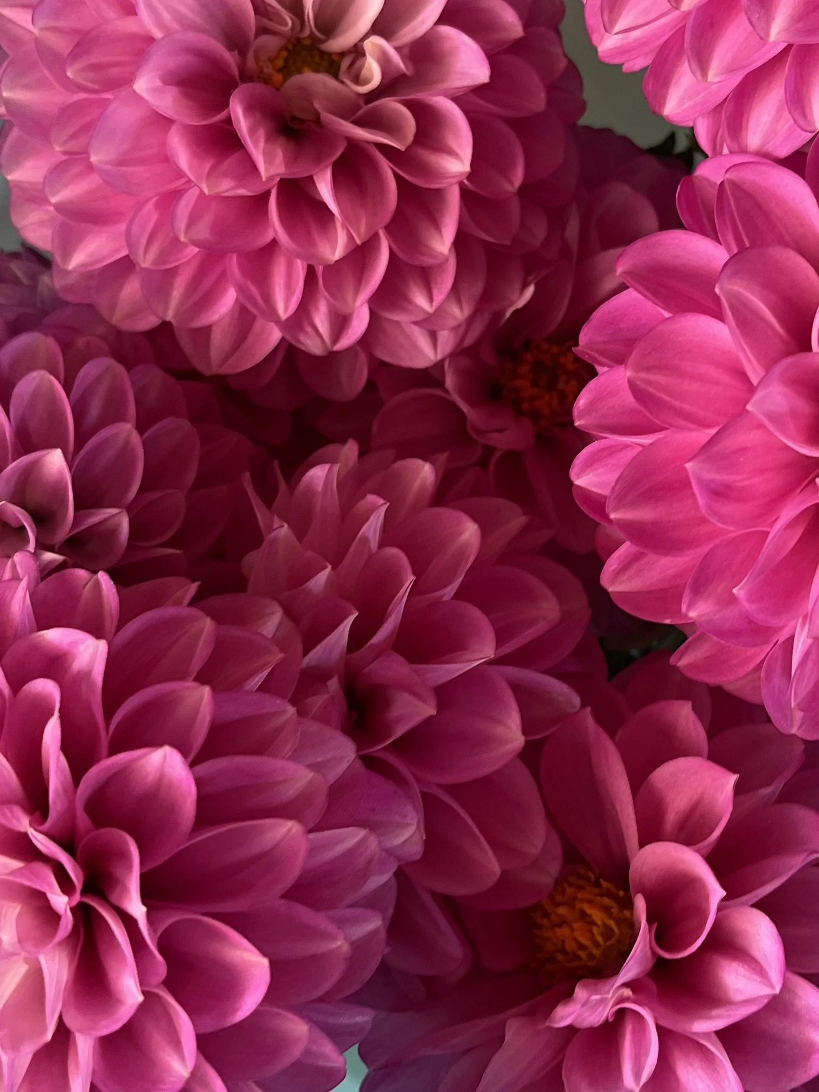 2022-08-27 - Photo_Aug_27,_4_04_05_Pm.jpg