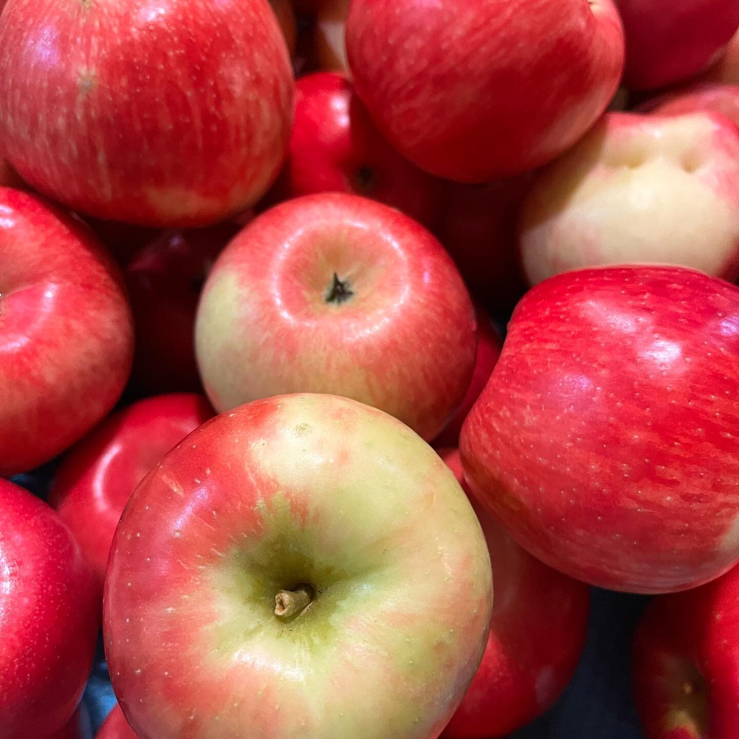 Wow!  The honey crisp apples are beautiful this year, and dahlias and other flowers are still blooming.  Stop by the farm and pick up some fresh apples or try some of our popular apple chips.  Maybe even pick up a bouquet for someone special 💕. Open