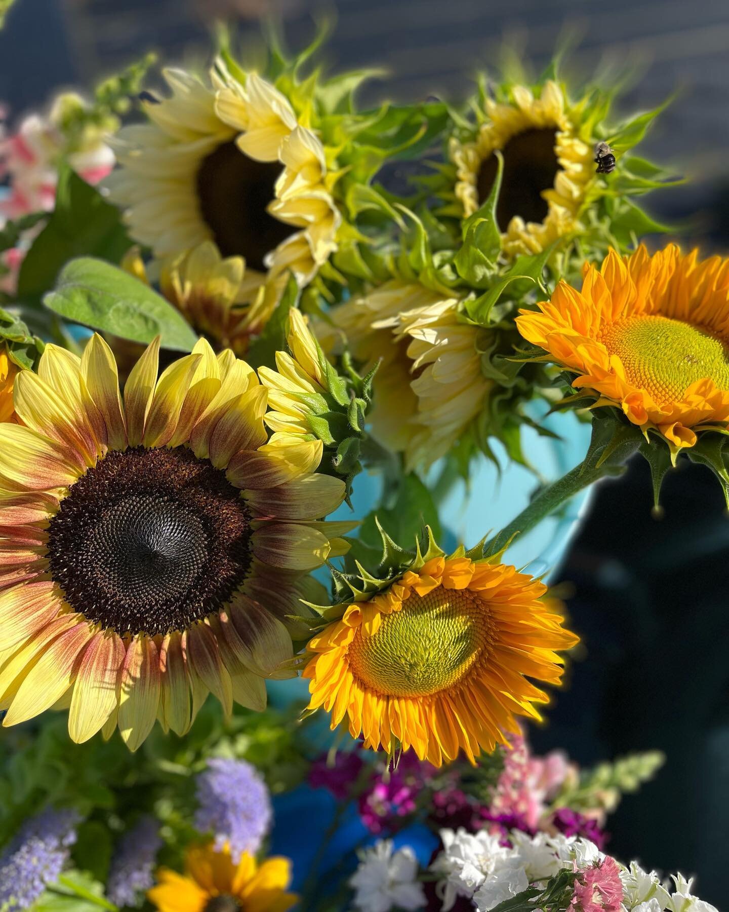 Hope to see you at Interlochen farmers market from 9 to 2, will have fresh cut blooms for you to build a bouquet or just take one home.  #farmersmarket #blossomvalleyfruitsandflowers #sundayfunday #upnorth  #puremichigan #shopsmall #greatgifts #flowe