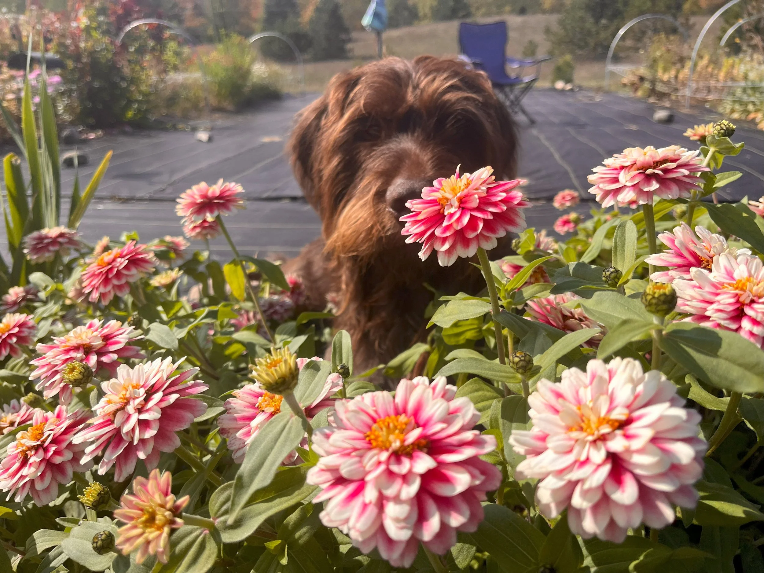 Huck Oct 2023 770.jpg