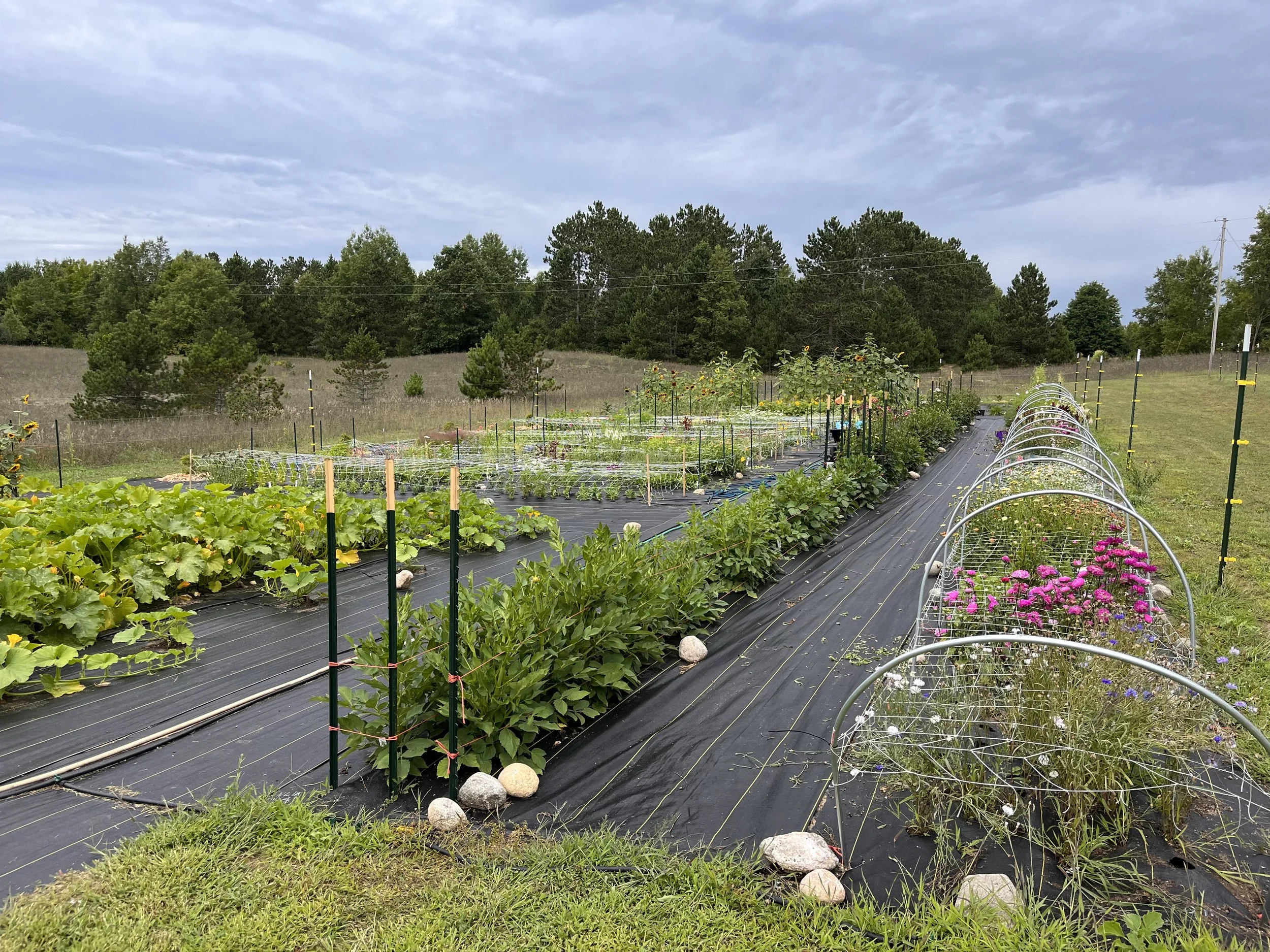 2022-08-20 - Photo_Aug_20,_1_03_51_Pm.jpg