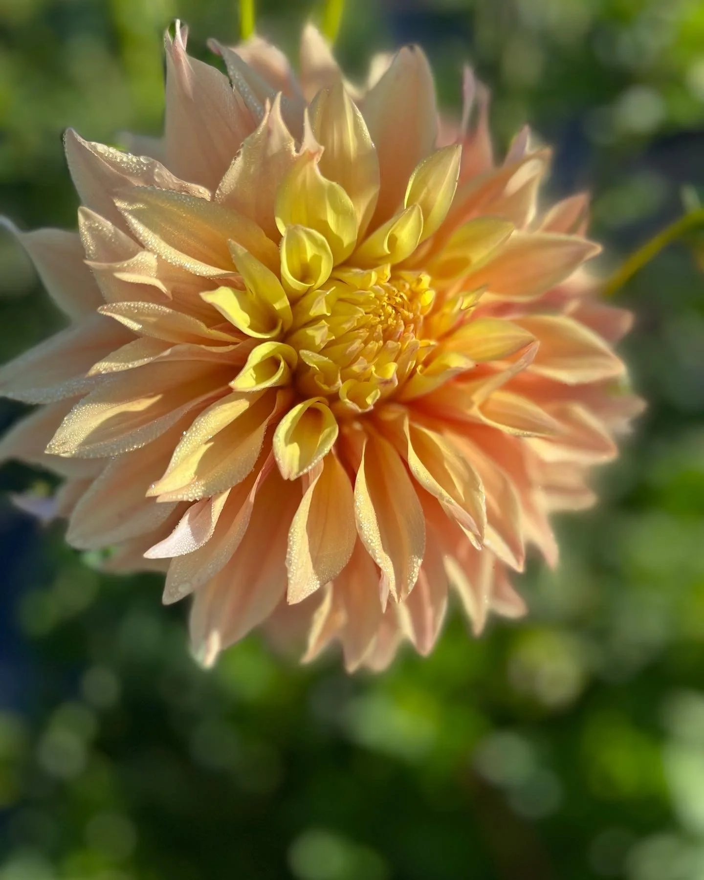 2022-08-20 - Photo_Aug_20,_8_06_14_Pm_(1).jpg