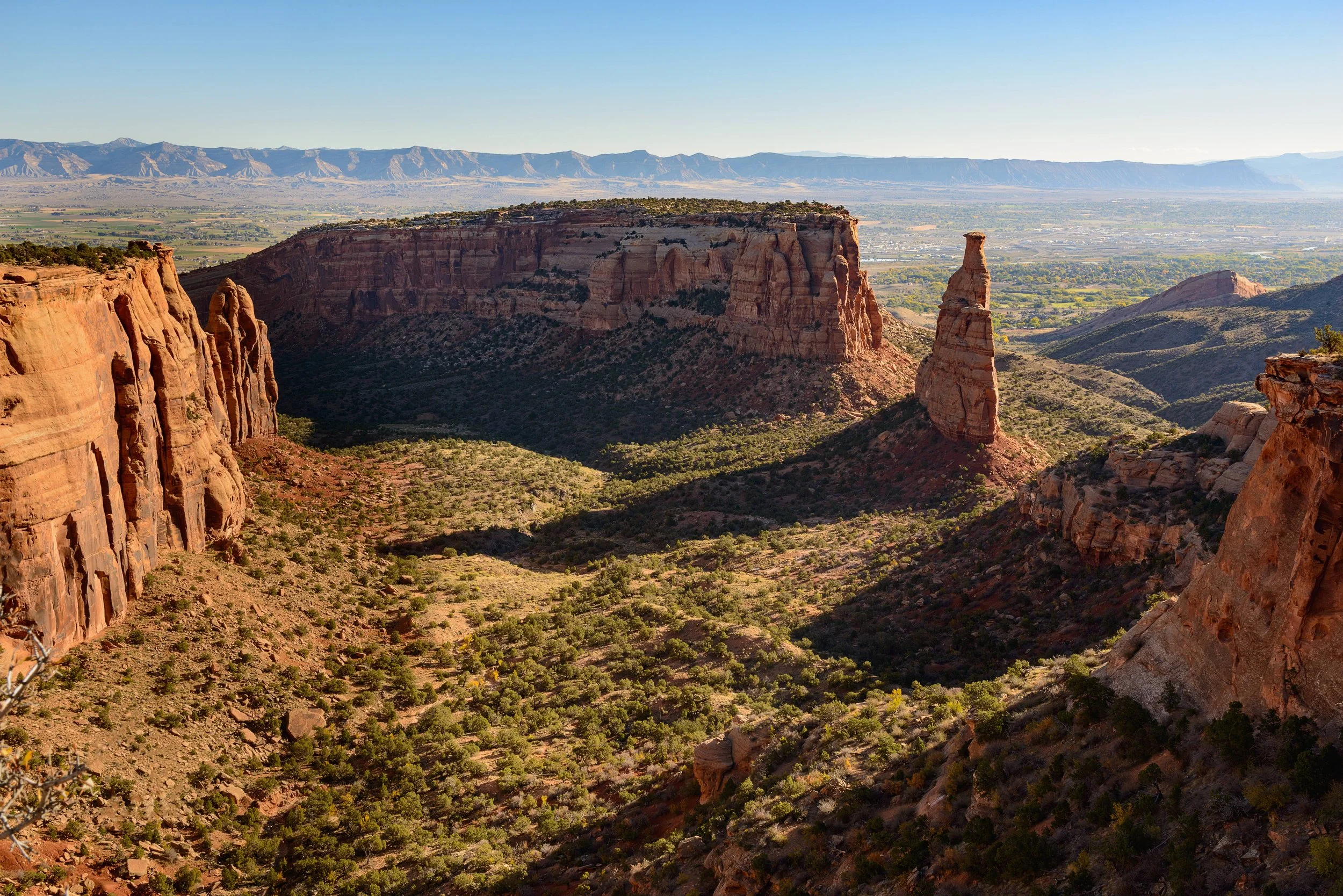 AdobeStock_177296486-min.jpeg