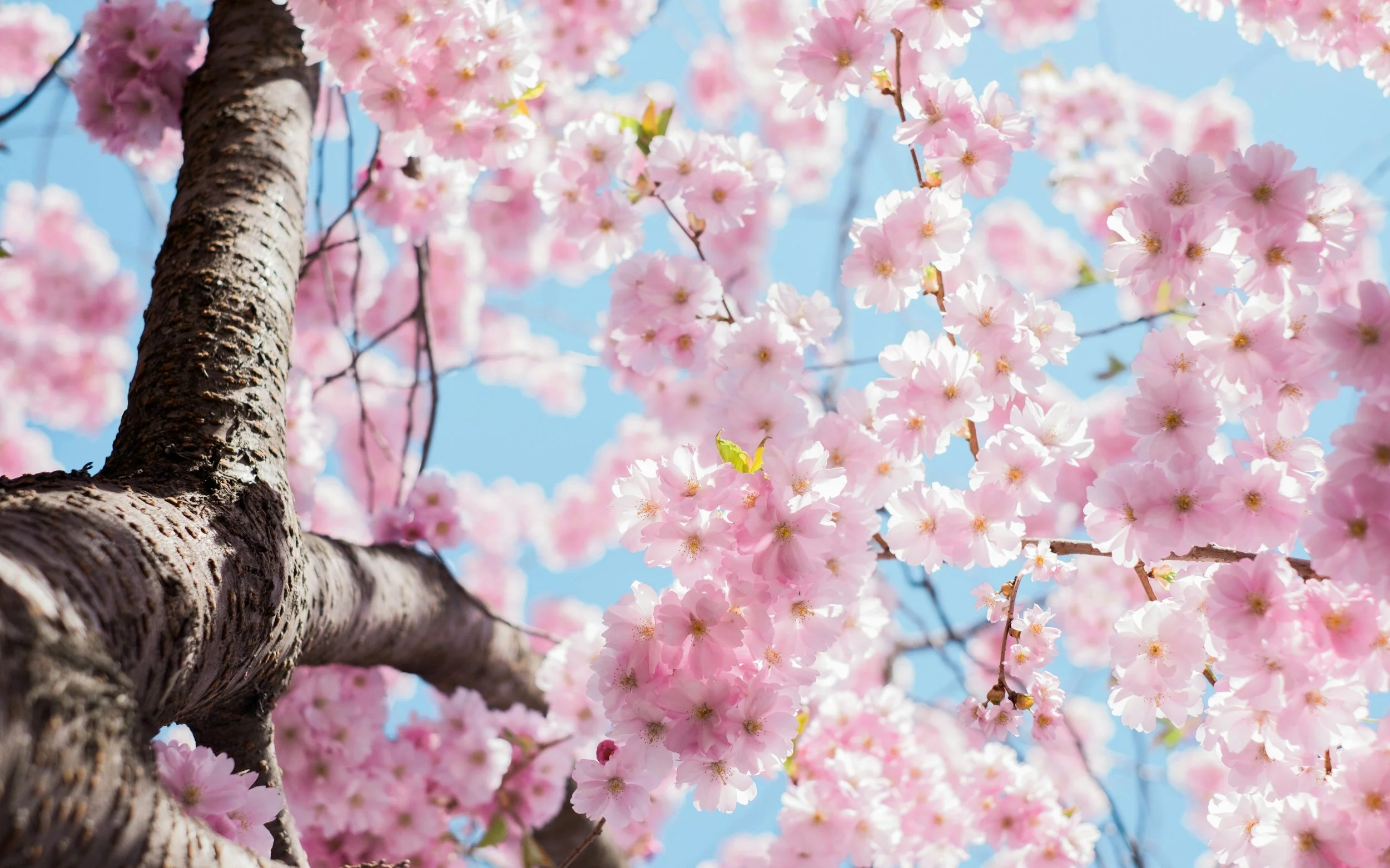 Spring Clean Your Finances
