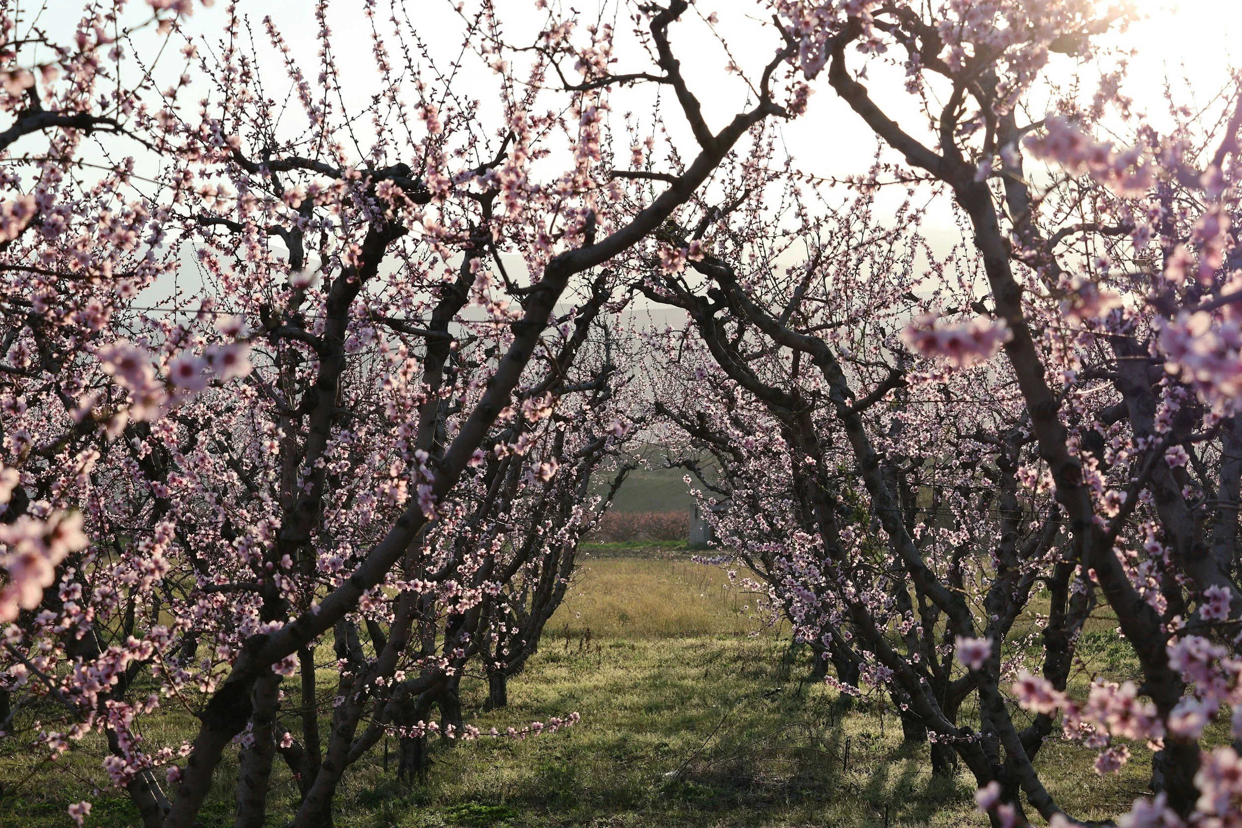 Spring 2026 at Coloramo: New Branch, Smarter Digital Banking, and More Ways to Manage Your Financial Life