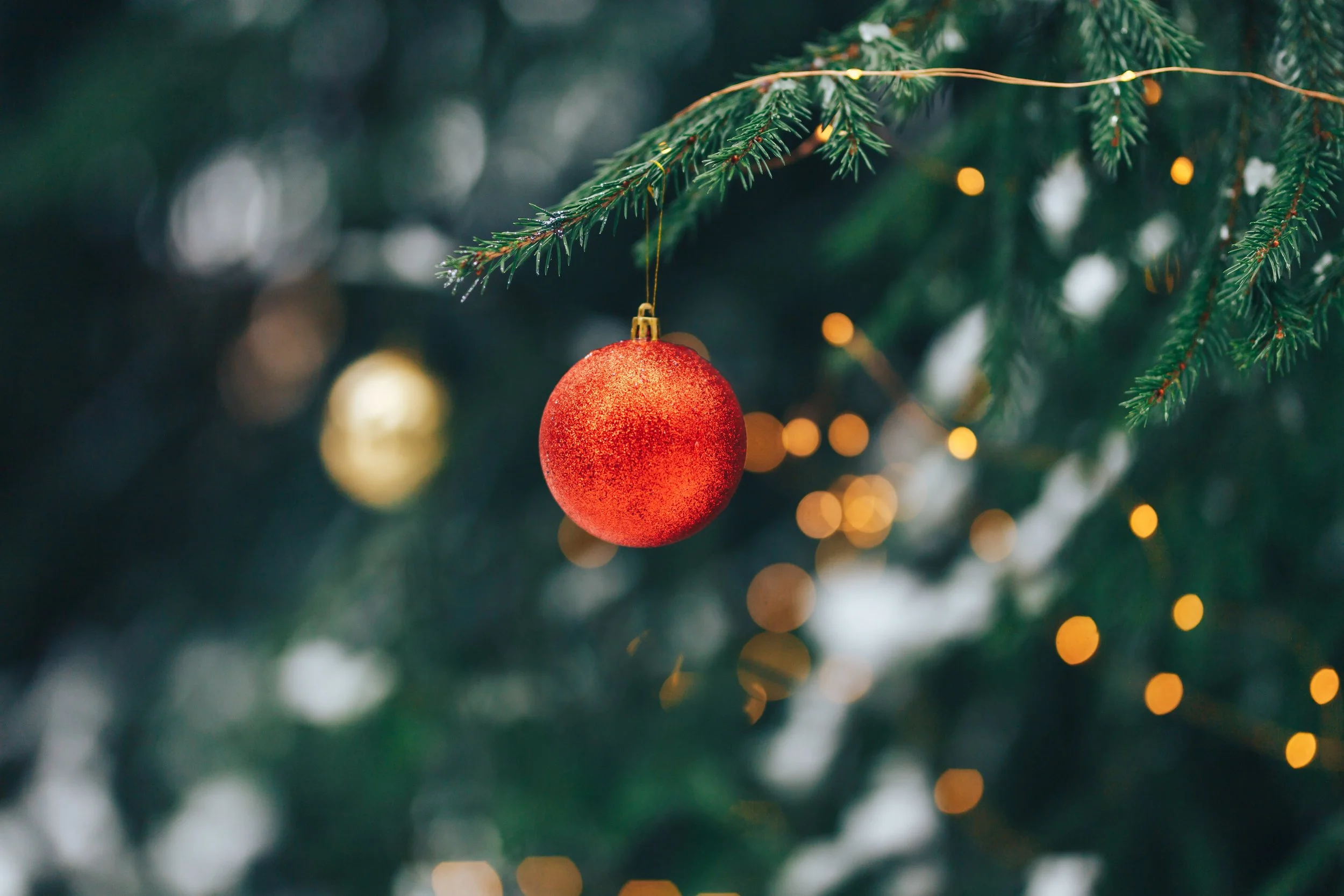 AdobeStock_303728641-min.jpeg