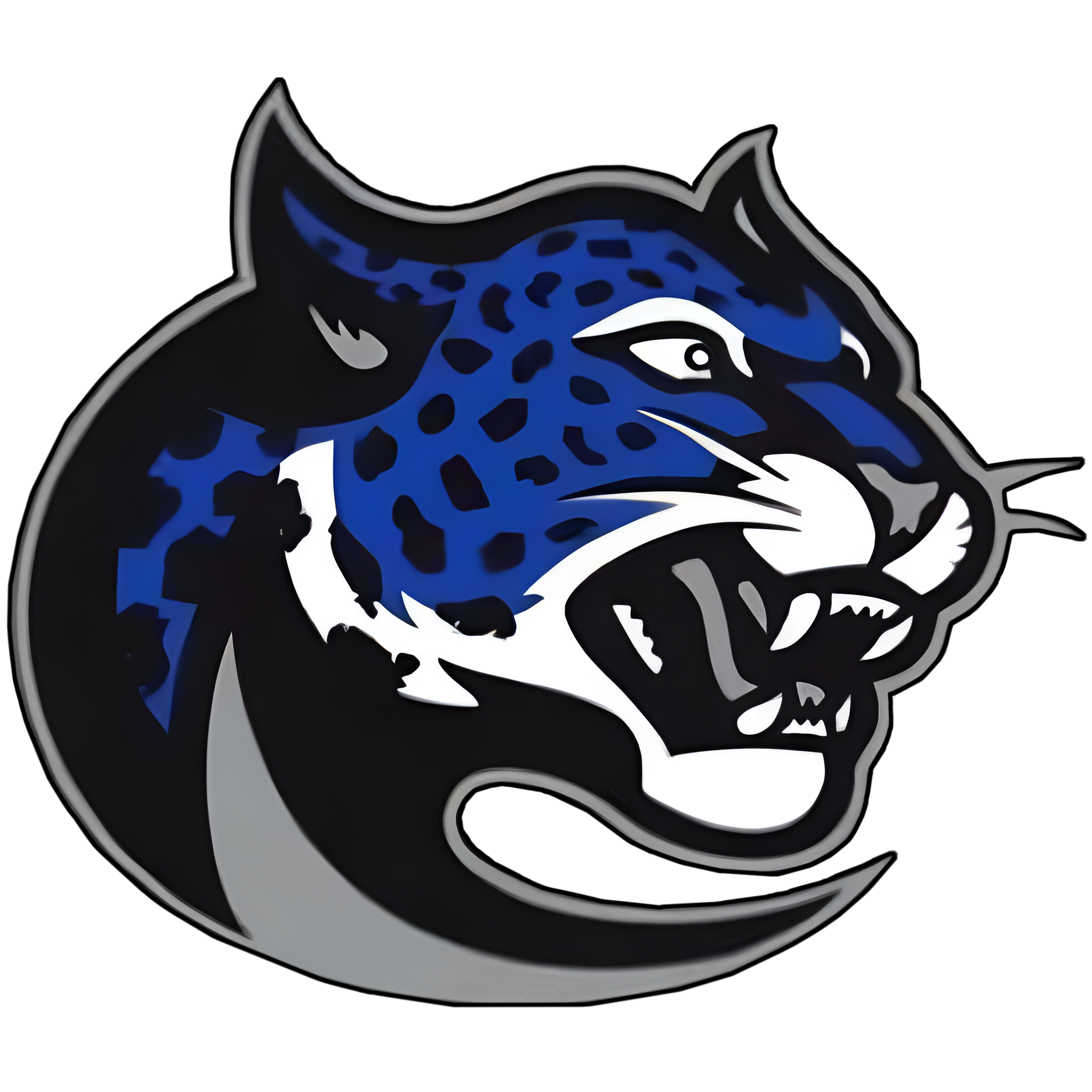 JDCHS Jaguar mascot logo