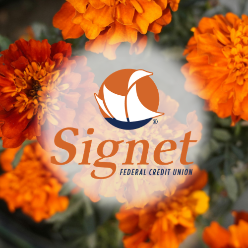 Spring Into Something New at Signet 