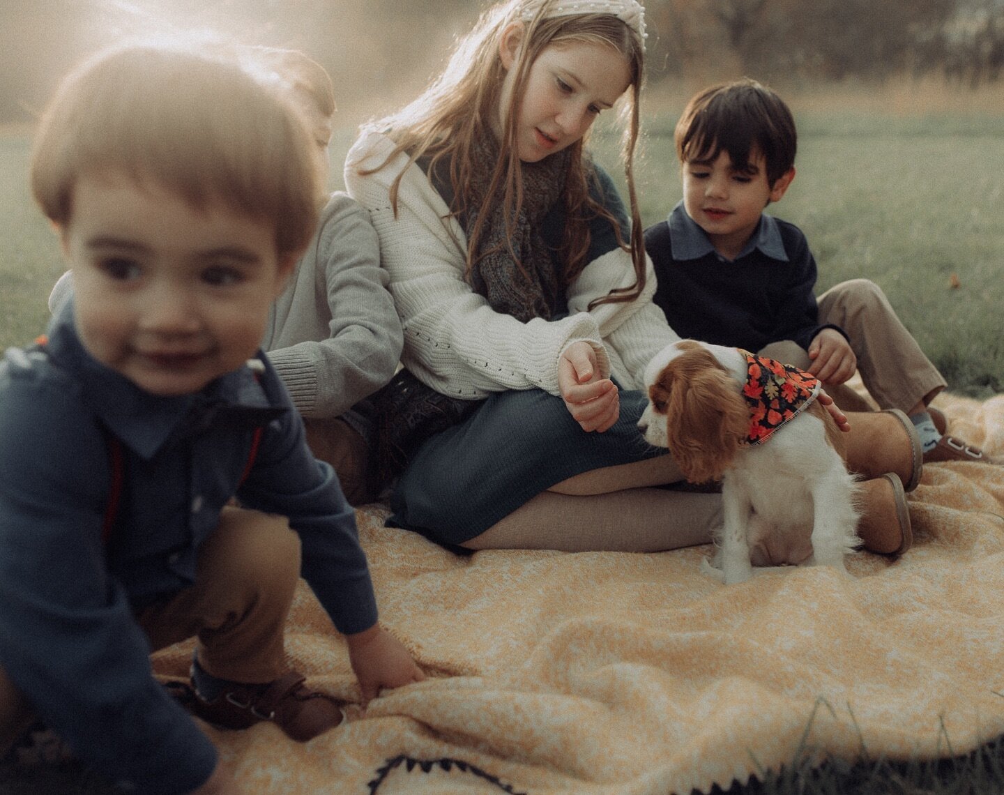 Sweet babes, puppy love and golden light. There just isn&rsquo;t anything better. #yardleyfamilyphotographer 
Book your golden hour storytelling session now for the warm summer nights ahead.