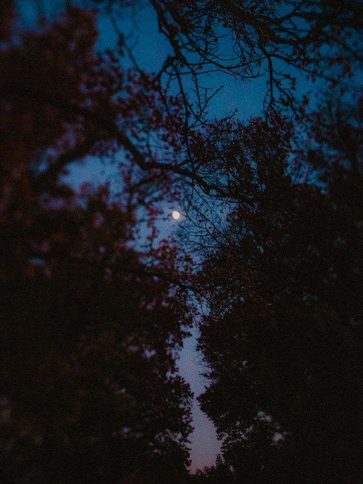 Happy Halloween 🎃