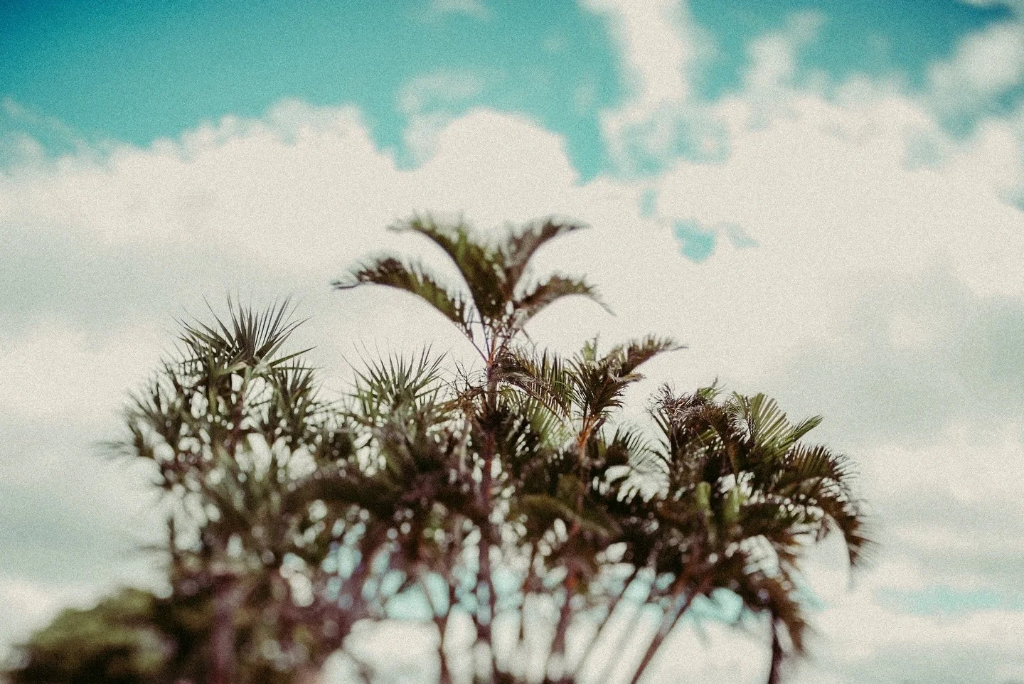 Another perfect vacation in Florida visiting Grammy! ☀️