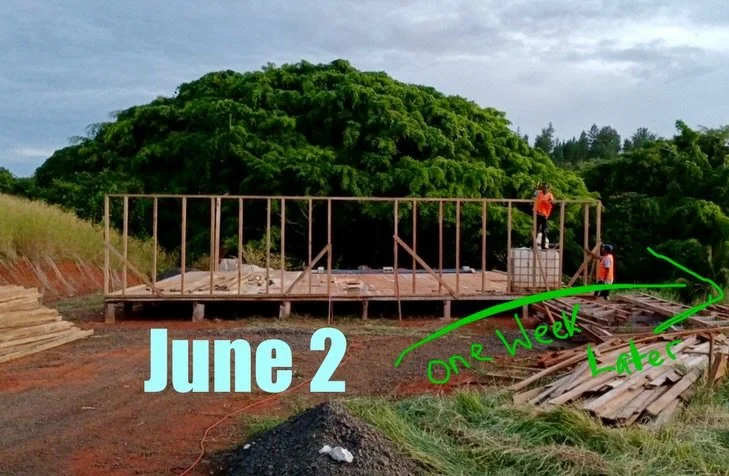 One week later🤯 Back in March I told the @hive._construction crew to take a break and let the rainy season finish off before restarting, and boy&hellip;..have we restarted or what. Also, thanks to the gang at A. Hussain Hardware for supplying all th