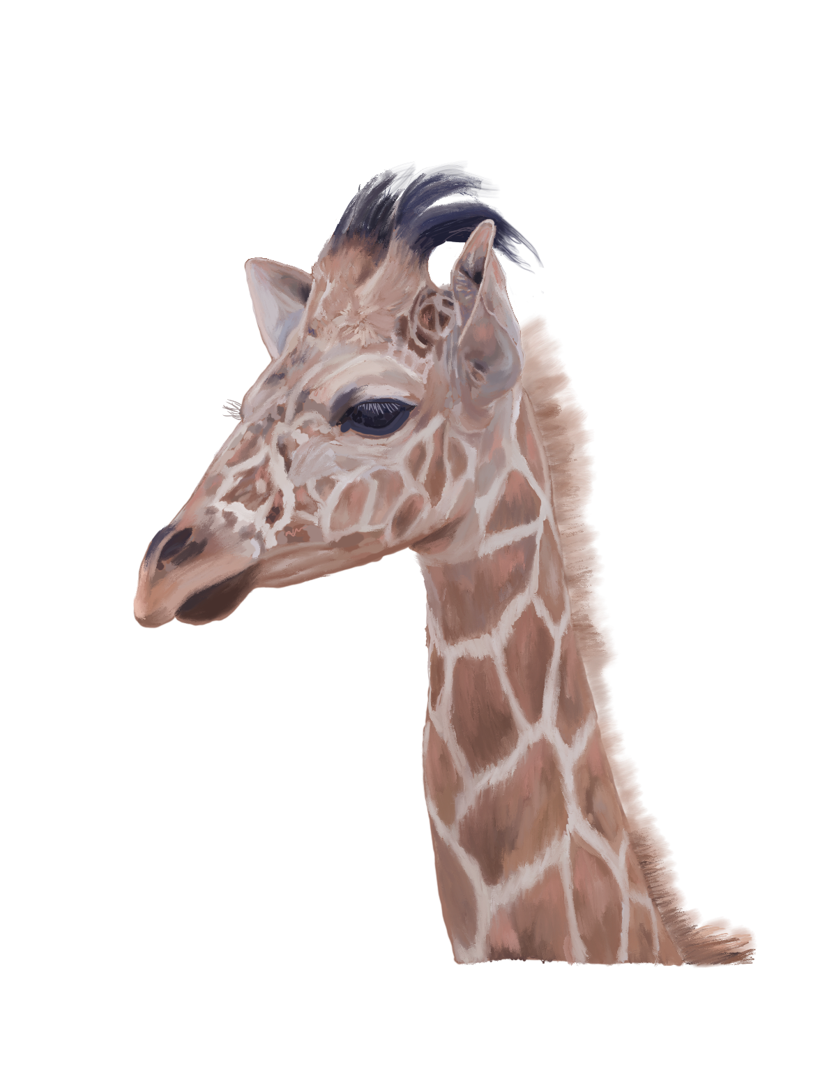 giraffe.baby.png