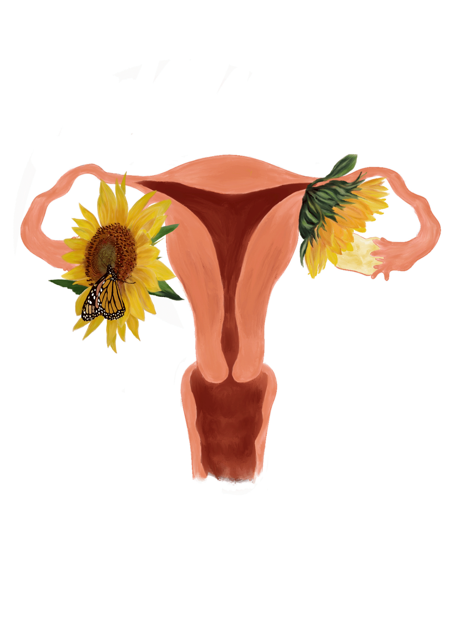 Sunflower.uterus.png