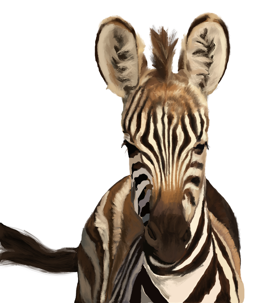 zebra.baby.png