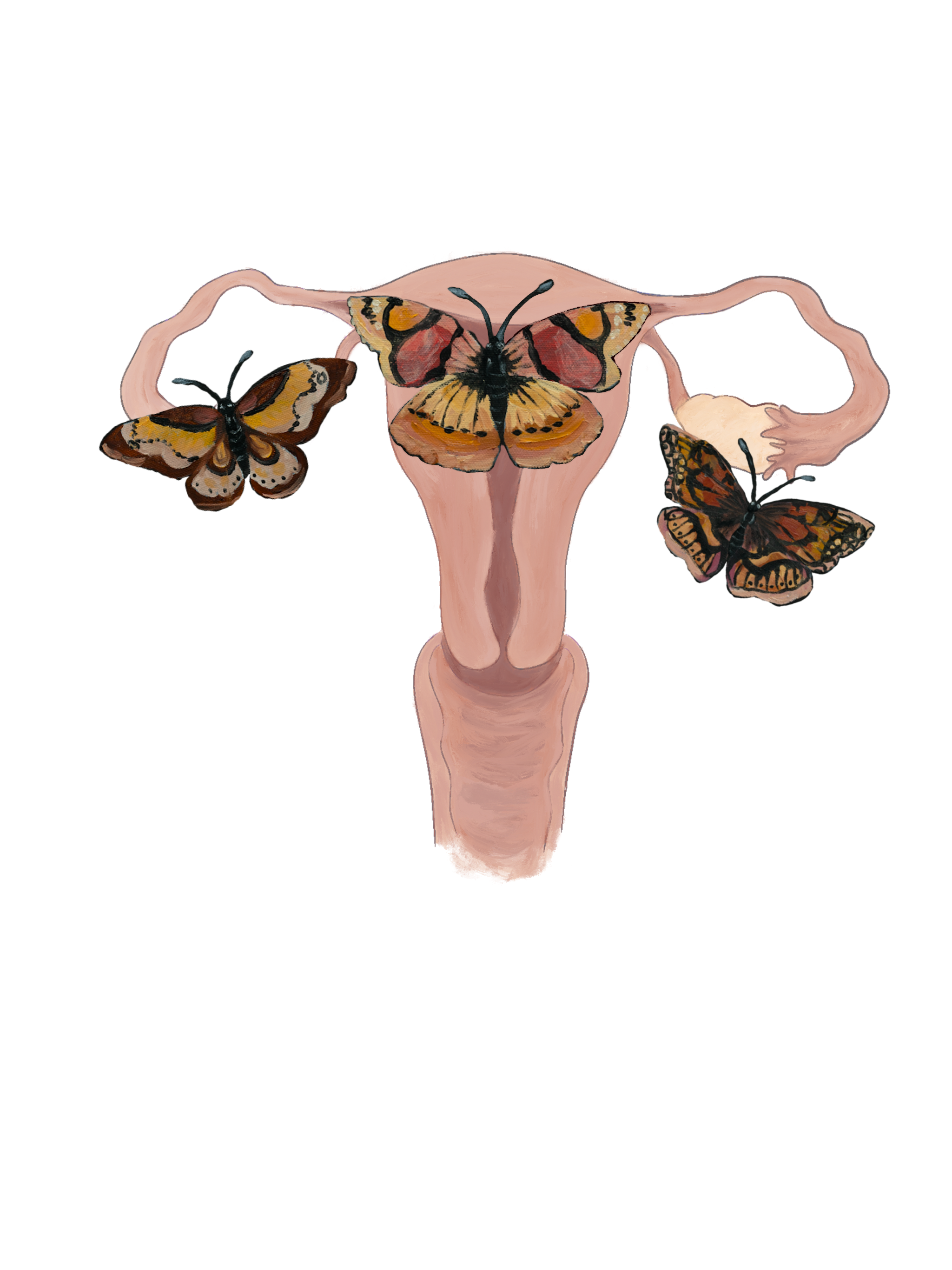 uterus.butterflies.nb.png