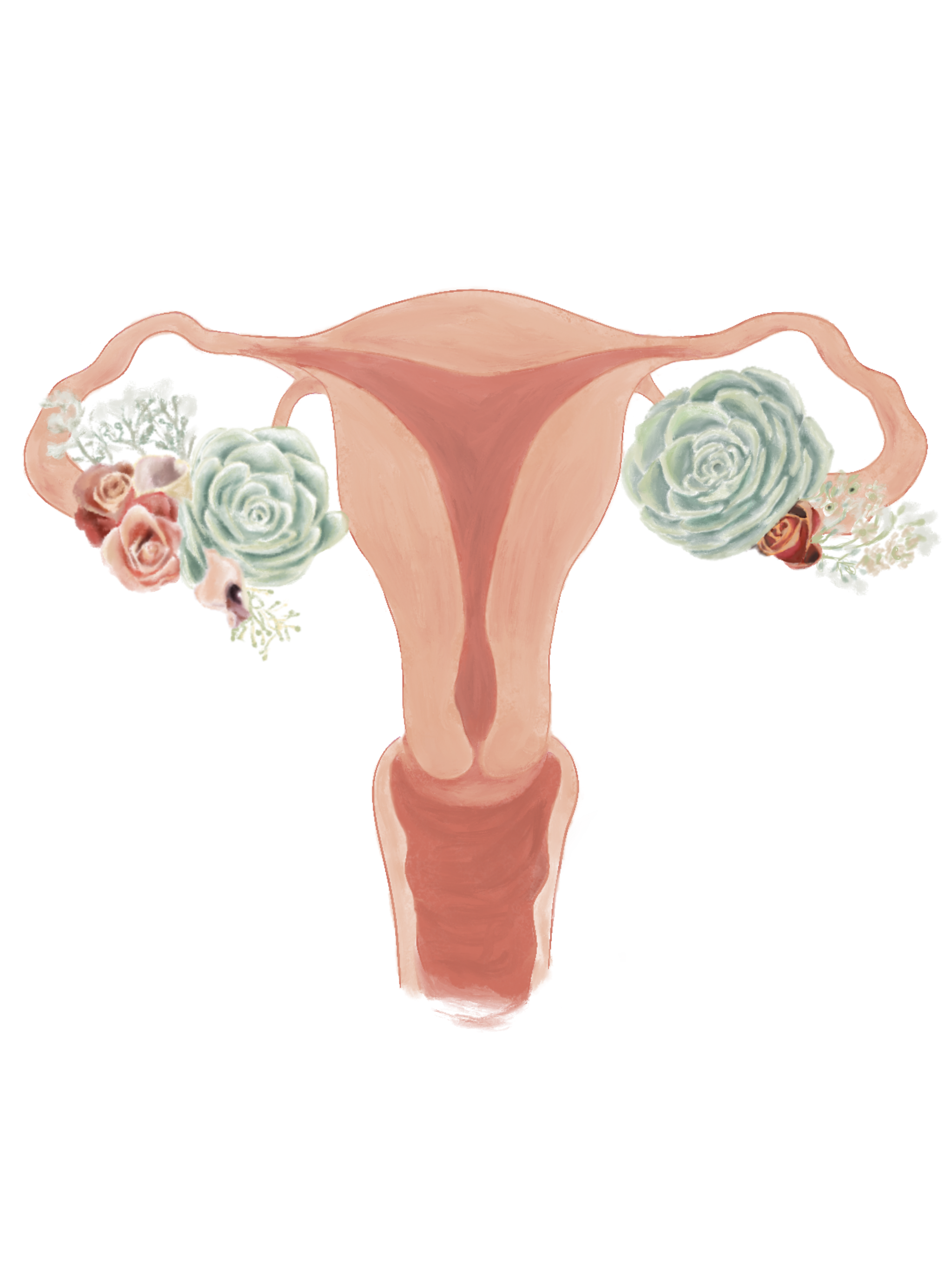 Uterus.succulents.nb.png