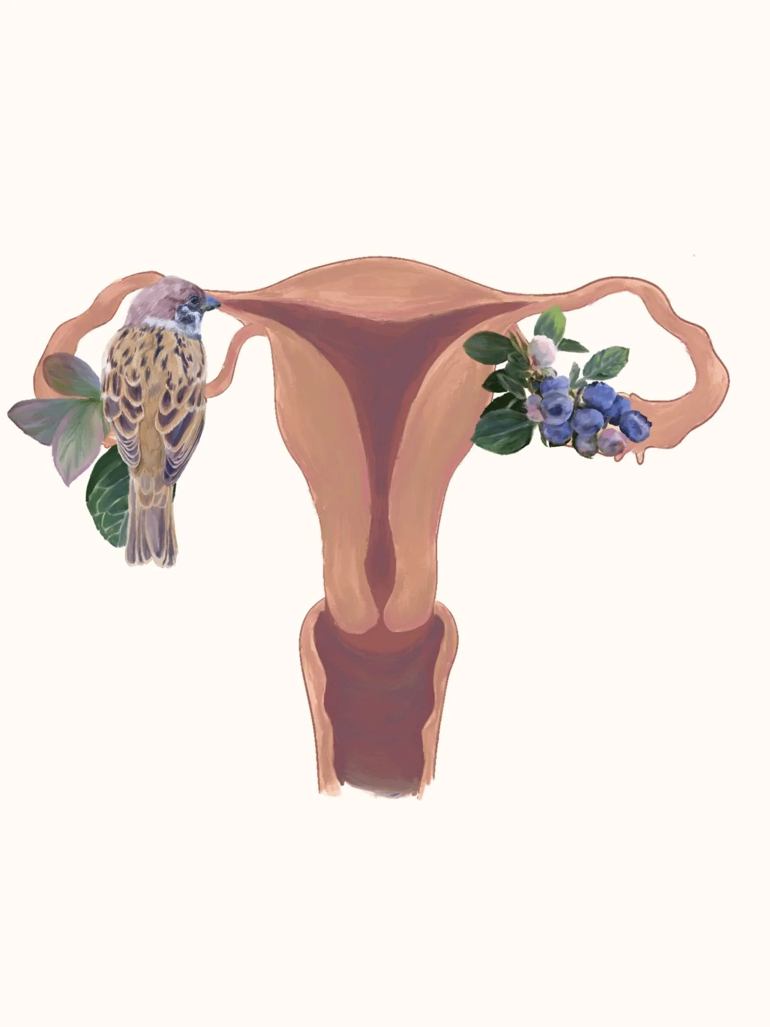 Bird.uterus.jpg