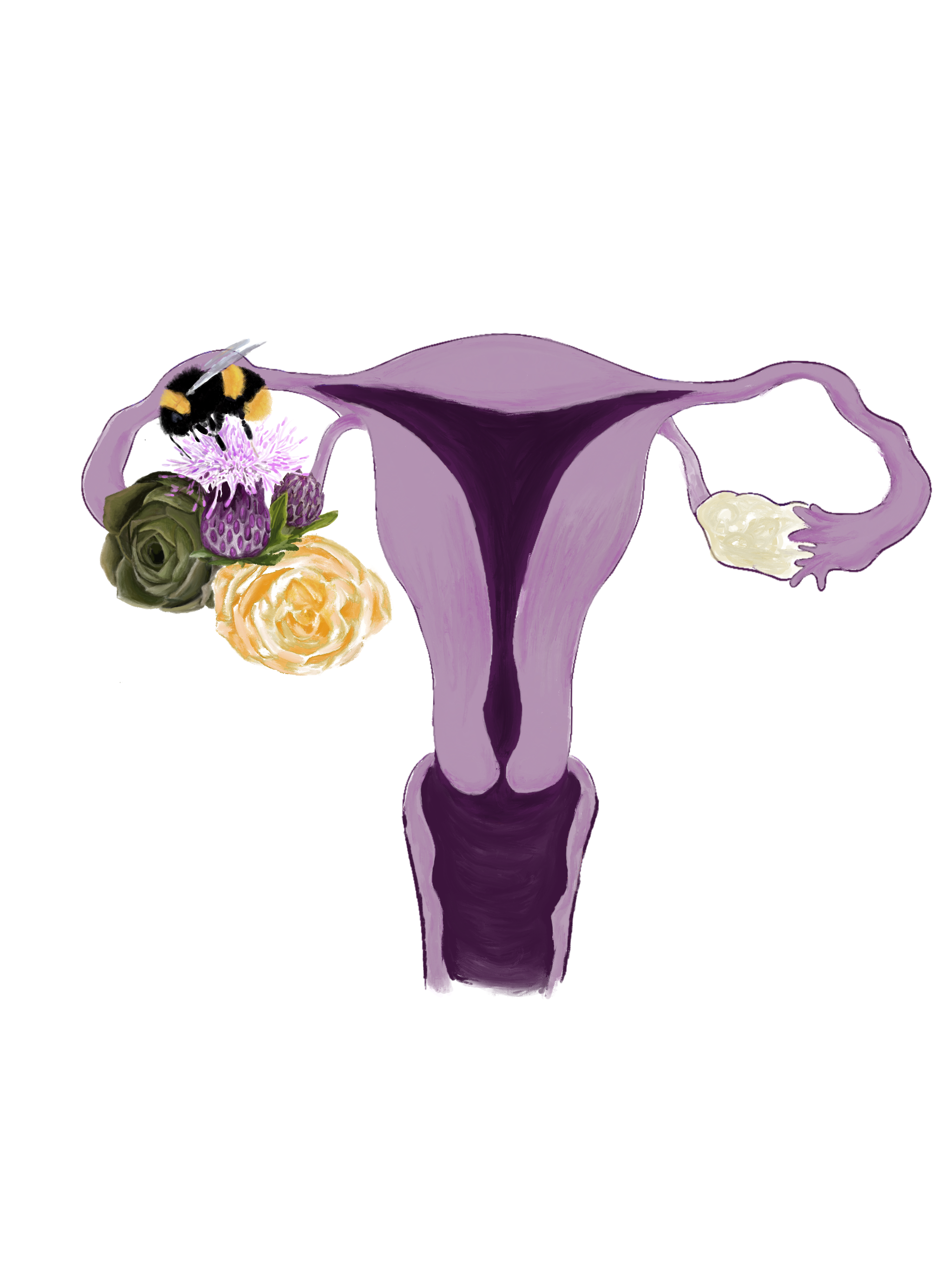uterus.bee.nb.png