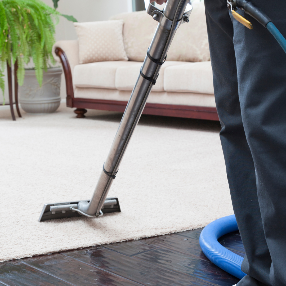 Untitled design (1).png