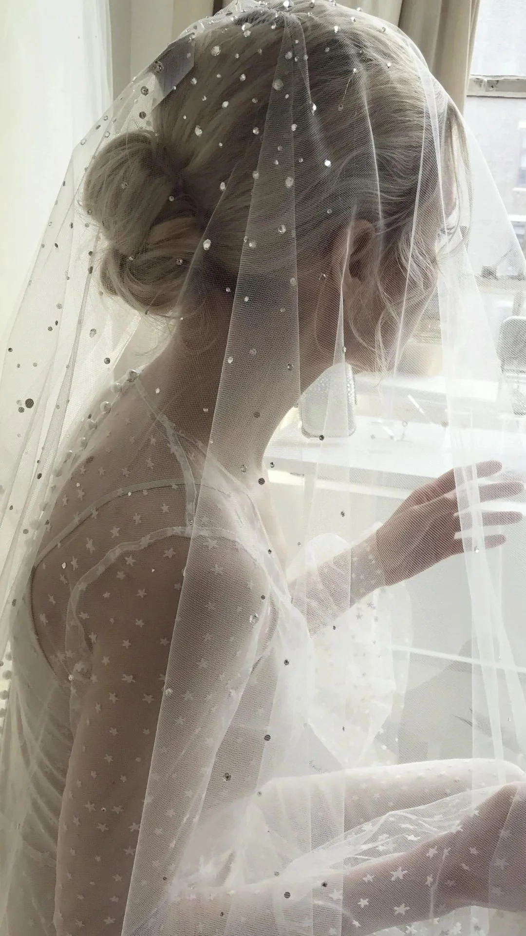 Dream cathedral veil Ariel Taub