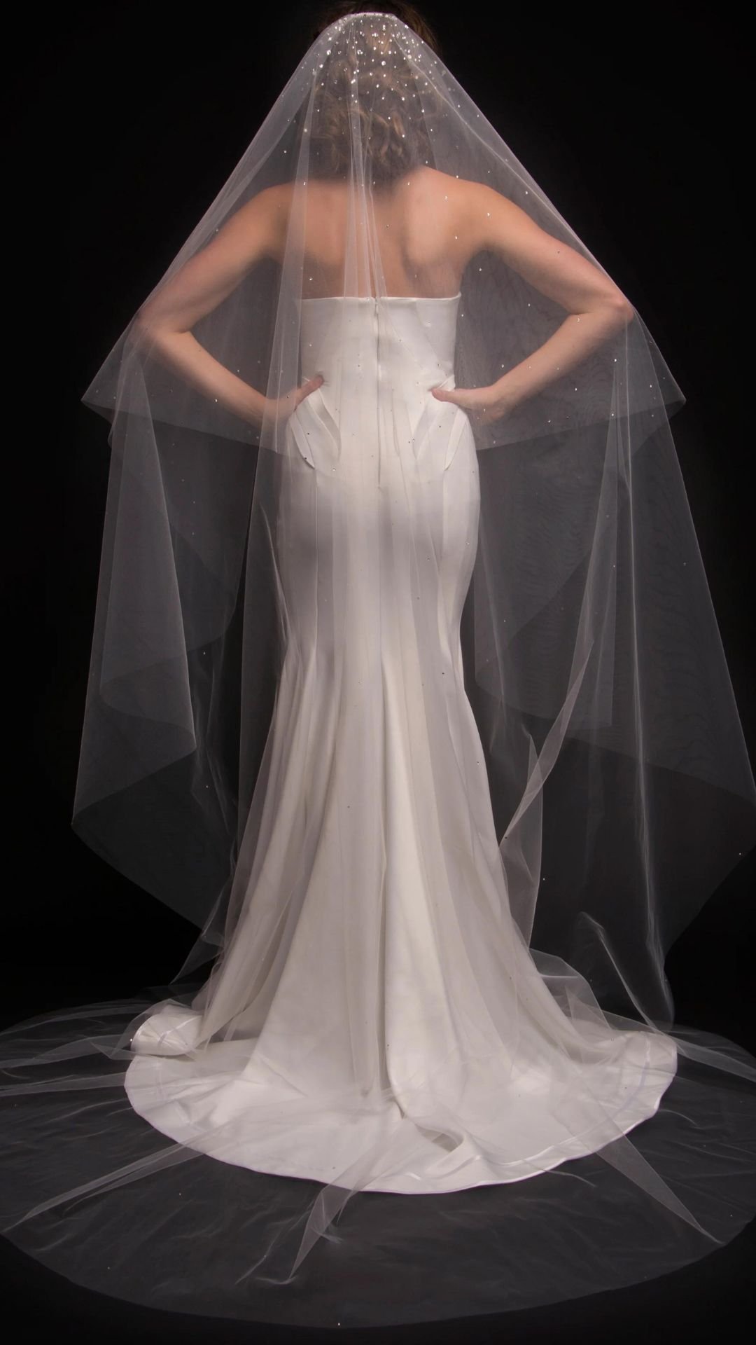 Dream cathedral veil Ariel Taub