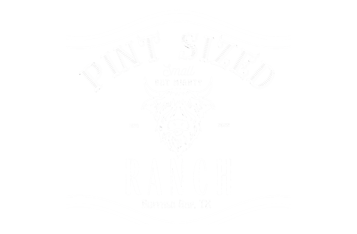 Pint Sized Ranch | Buffalo Gap, TX
