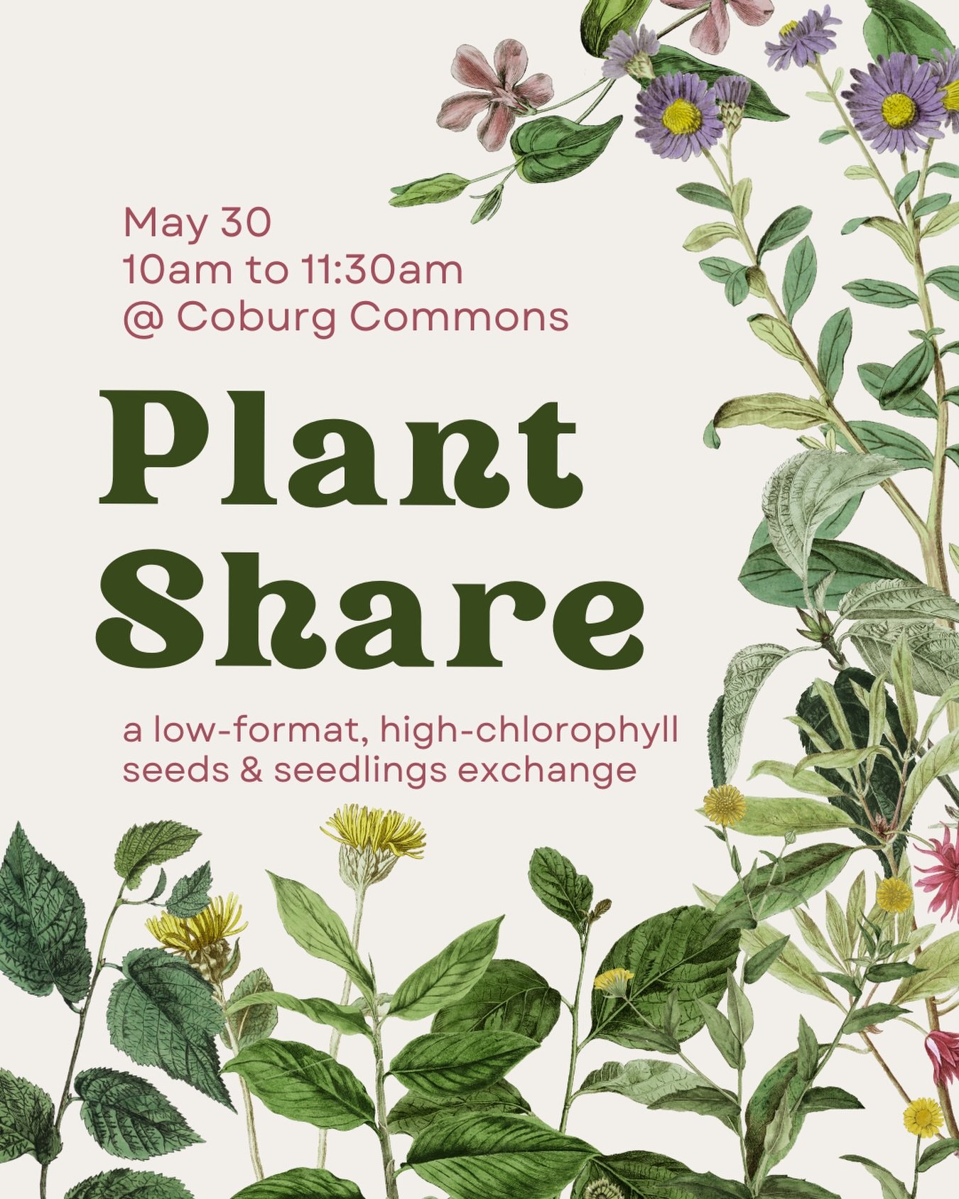 May 30 10am &ndash; Bring your extra seedlings, seeds, and dug-up extras to share with other gardeners in town.

Low format: all barters and shares are sorted out between participants. #gardening #plantswap #seedswap #mutualaid #bookstore