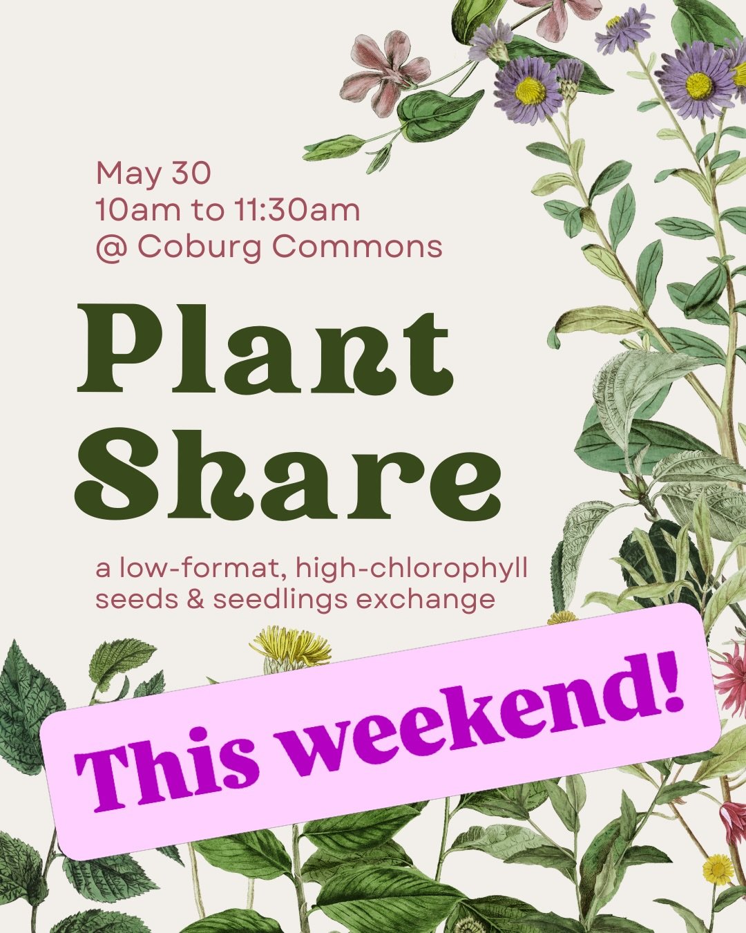 Two free all-ages events at the Commons this Saturday!
10am is a plant share - bring your extra seedlings to exchange with other green thumbs
1pm with @prideinnumbersoregon is a LGBTQIA+ art-making party with free pizza &amp; beverages! See you there