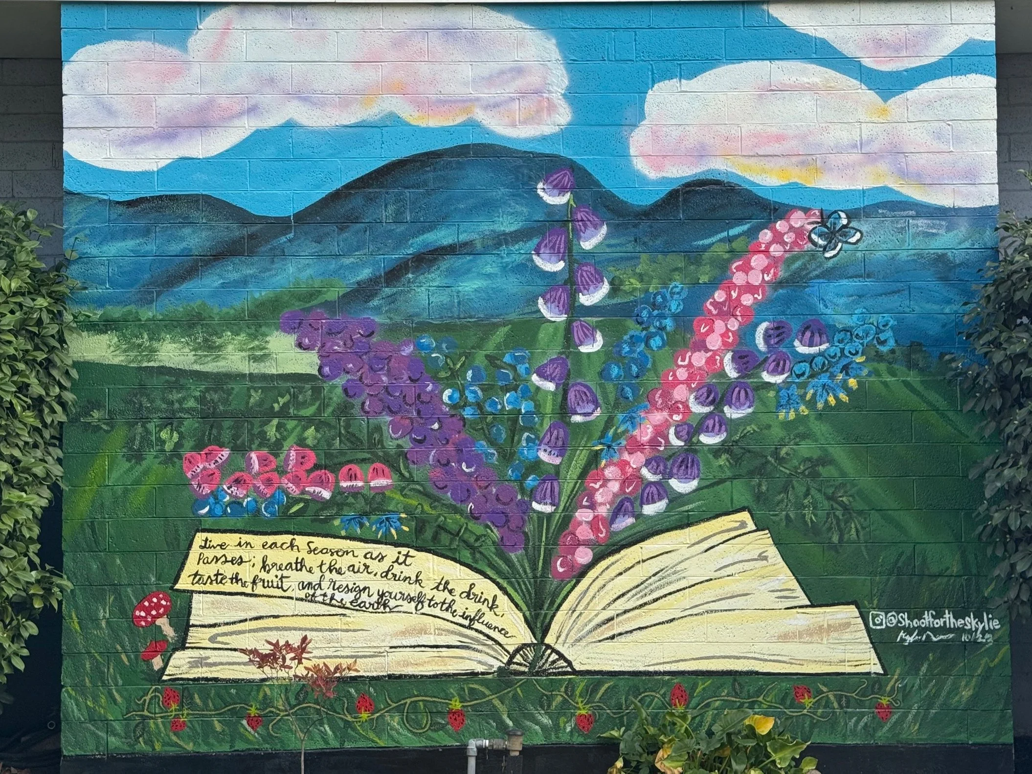 A colorful mural painted on a brick wall depicts a scenic landscape with mountains, blue sky with clouds, and vibrant flowers including purple, pink, and blue blossoms. There is a note at the bottom with handwritten text that reads: "Live in each season as it passes; breathe the air, drink the drink, taste the fruit, and resign yourself to the influence of the earth." The artist's Instagram handle '@ShootfortheSky' is visible in the bottom right corner.
