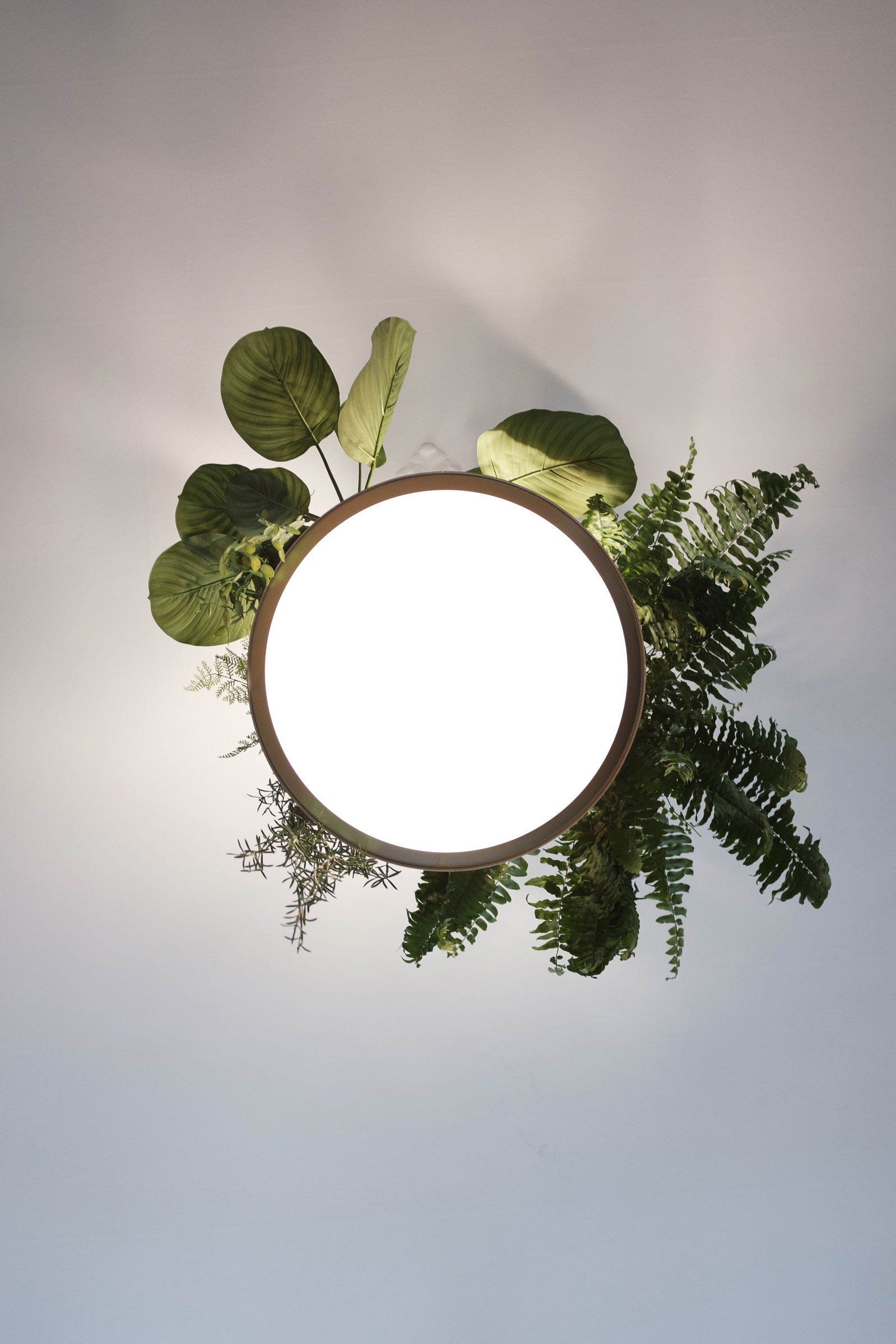 LAMP_MS_BY_ANASTASIYA_KOROTKOVA_03.jpg