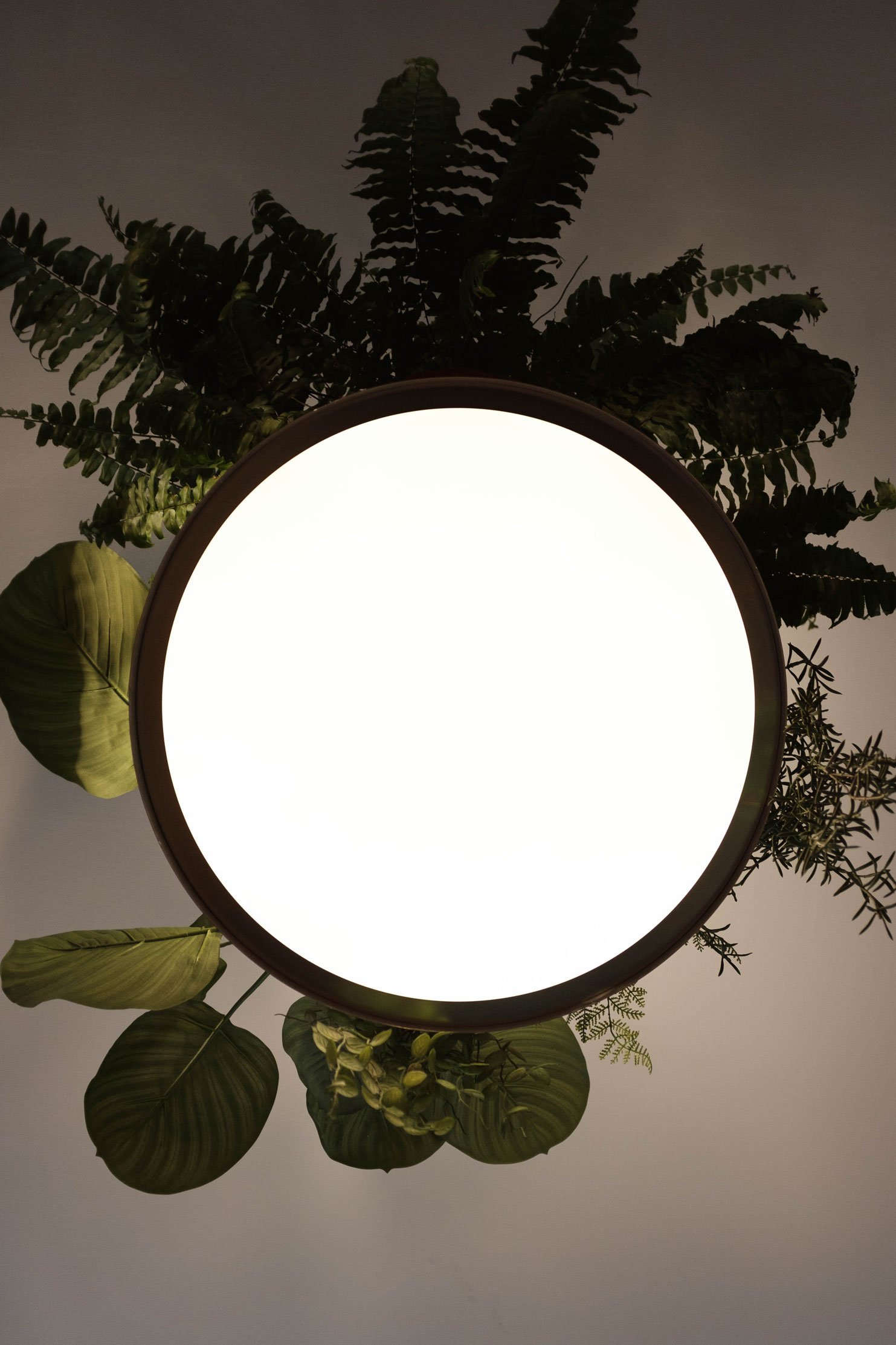 LAMP_MS_BY_ANASTASIYA_KOROTKOVA_07.jpg