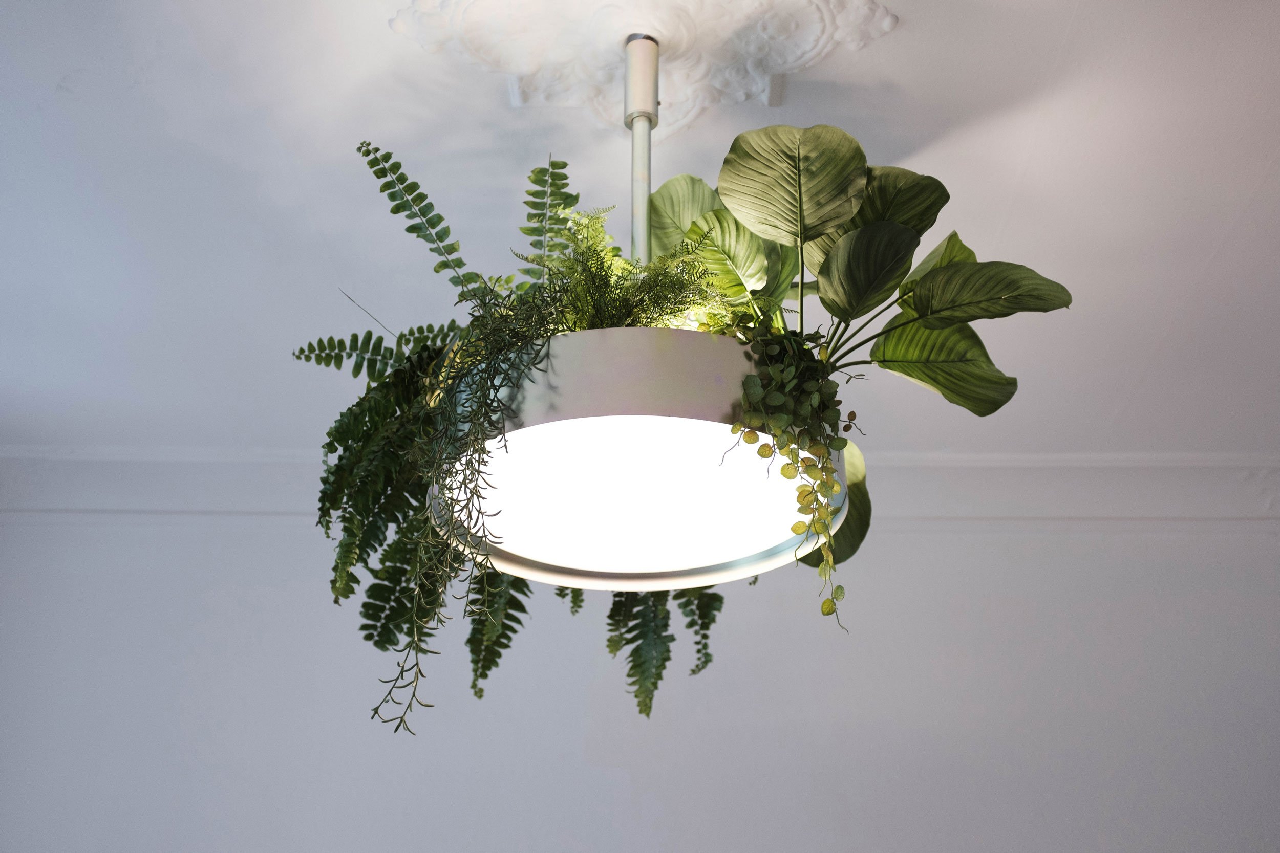 LAMP_MS_BY_ANASTASIYA_KOROTKOVA_01.jpg