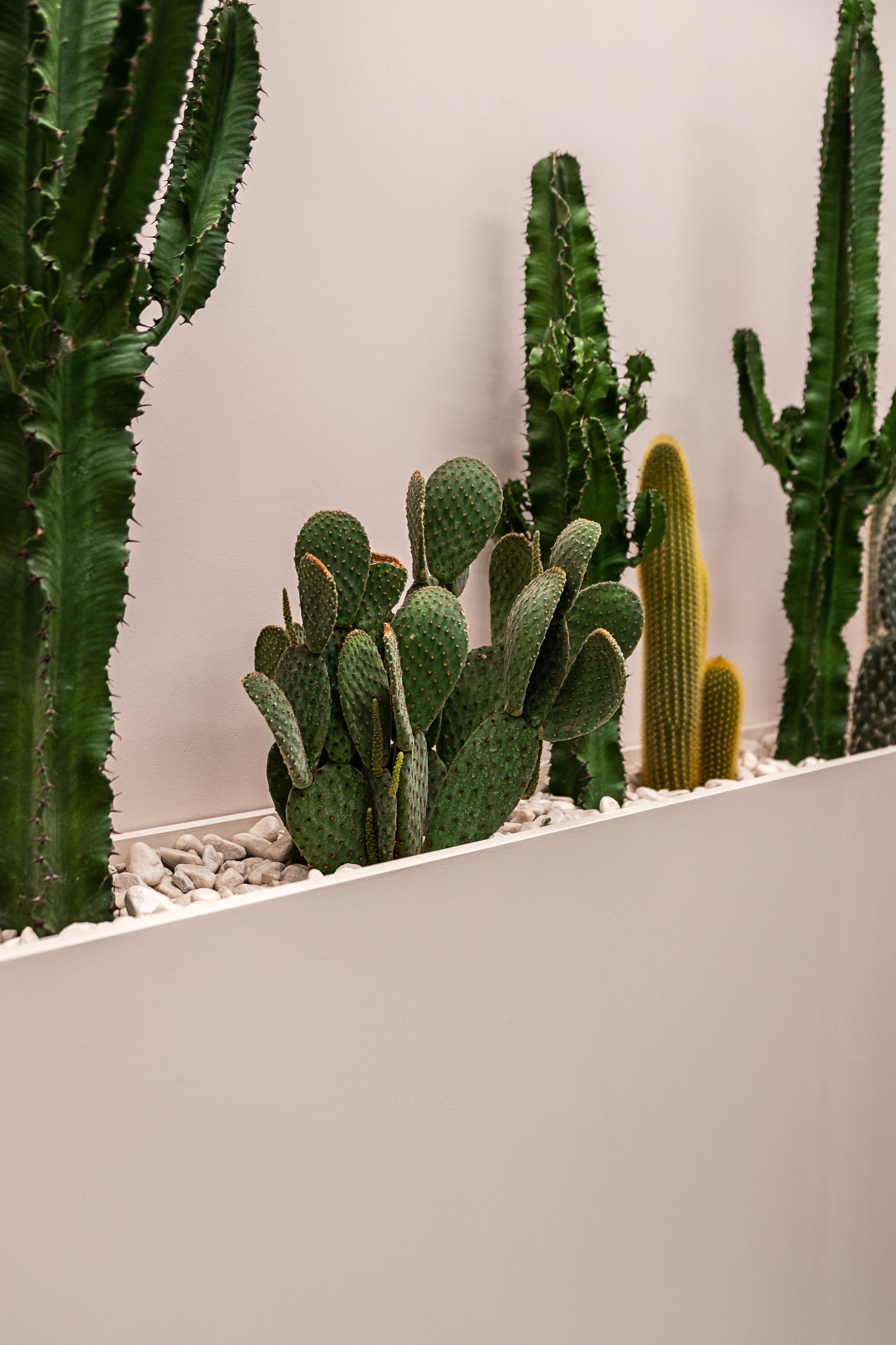 SHOWZ_SHOWROOM_MS_BY_ACMO_STUDIO_08.jpg