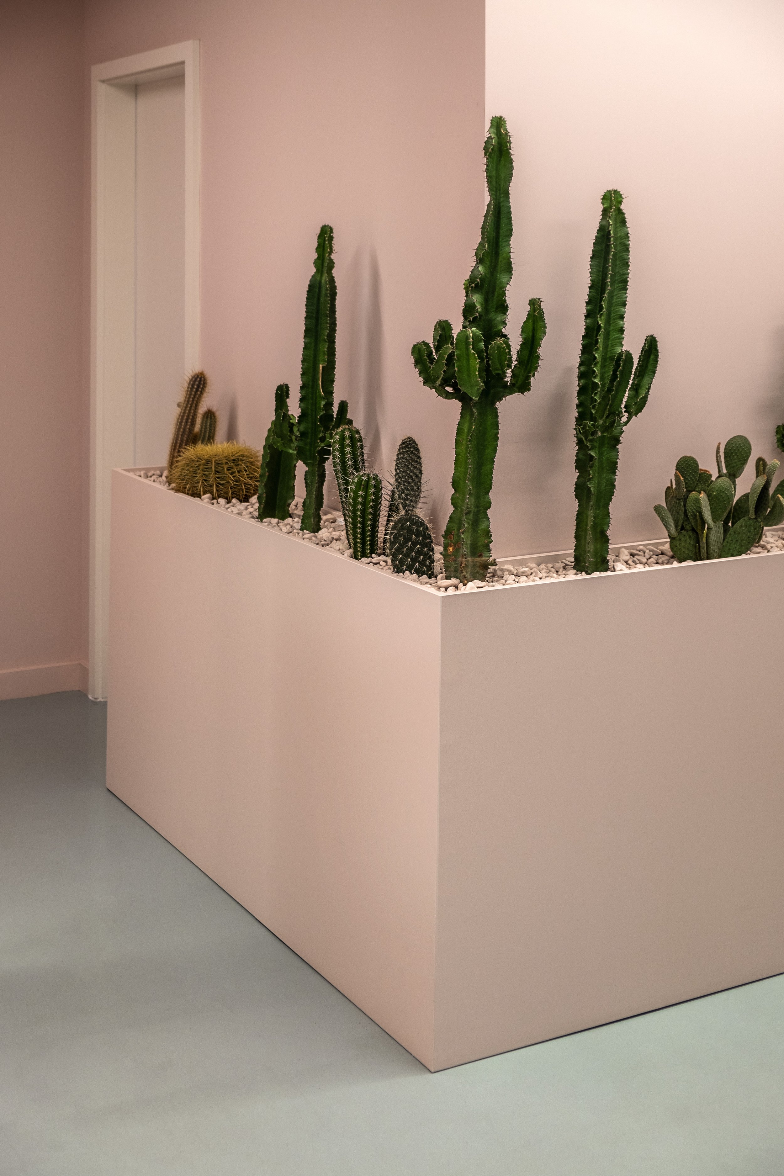 SHOWZ_SHOWROOM_MS_BY_ACMO_STUDIO_07.jpg