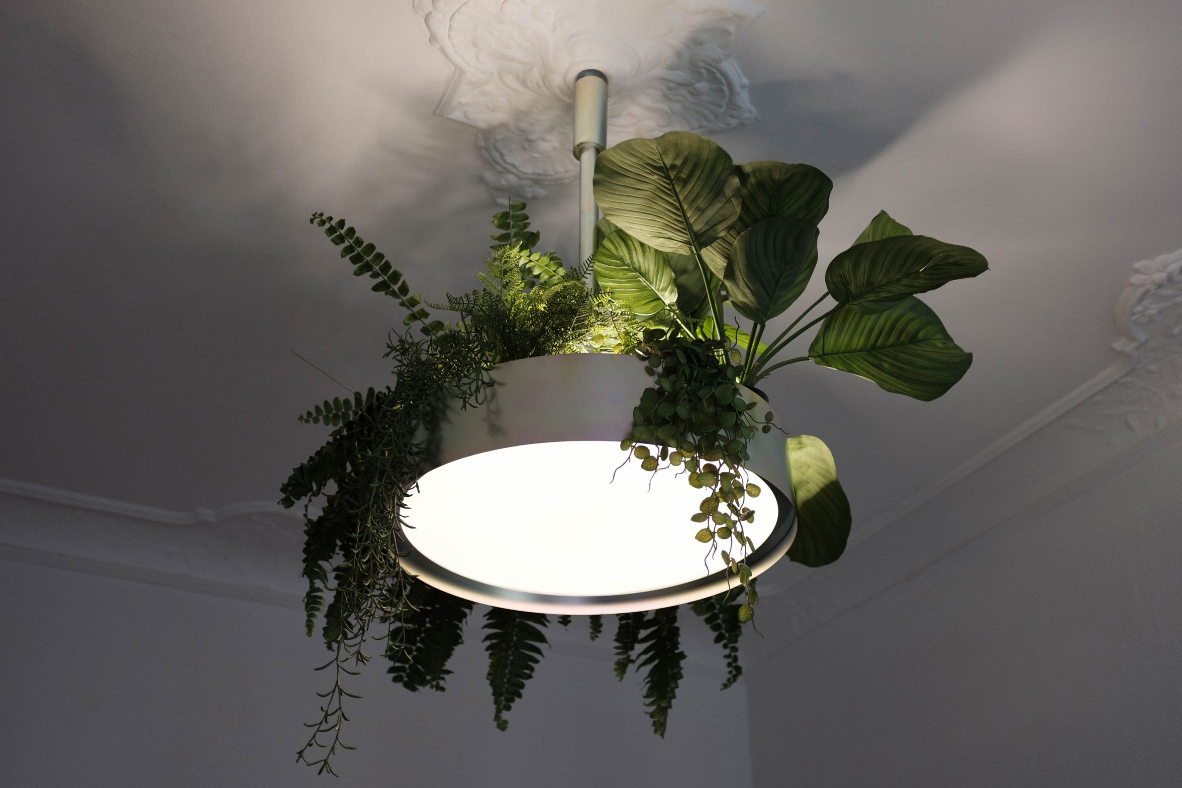 LAMP_MS_BY_ANASTASIYA_KOROTKOVA_05.jpg