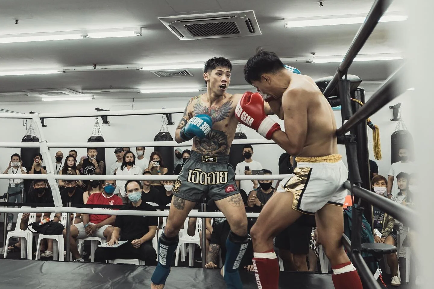 The Best Muay Thai Gym in Singapore Lefit Muay Thai Singapore