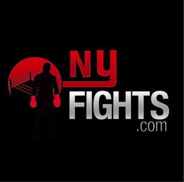 Logo for NY Fights, featuring a silhouetted boxer, a red boxing ring, and the website URL