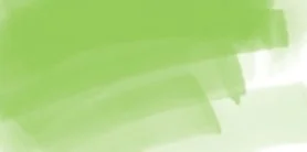 DAEPMSG_ergo_springgreen.jpg