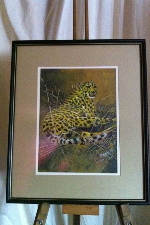 cheetah1.png