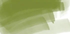 DAEPMOL_ergo_olive.jpg