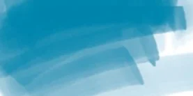 DAEPMTB_ergo_trueblue.jpg