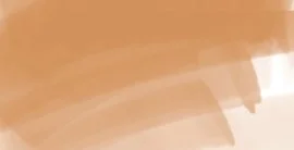 DAEPMTA_ergo_tan.jpg