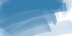 DAEPMBB_ergo_brblue.jpg