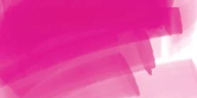 DAEPMM_ergo_magenta.jpg