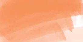DAEPMO_ergo_orange.jpg